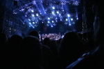 Click on one of the size names above to enlarge this image