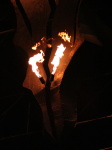 Click on one of the size names above to enlarge this image