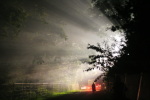 Click on one of the size names above to enlarge this image